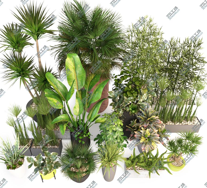 images/goods_img/20210313/Plants 19 3D/3.jpg
